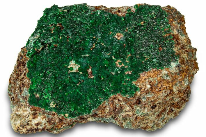 Striking Green Conichalcite Formation - Utah #314493